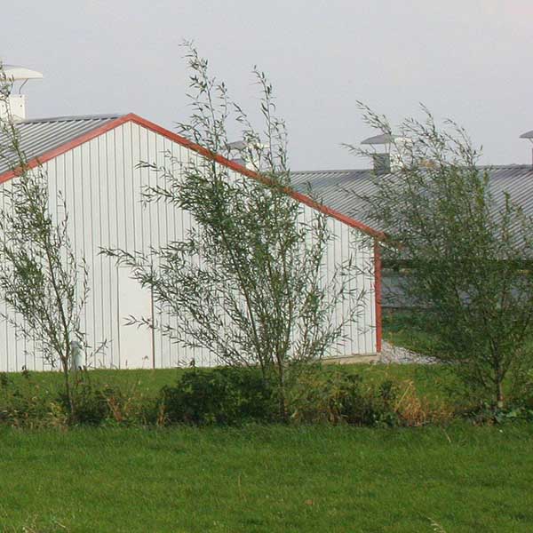 COLD STORAGE POLE BARNS VS. OTHER COLD STORAGES